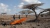 Drought in Kenya Sends More Girls to School