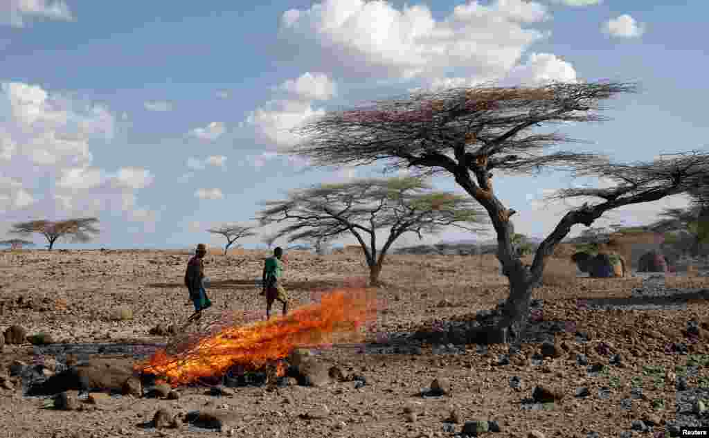 Turkana tribesmen walk past burned goats' carcasses in a village near Loiyangalani, Kenya.