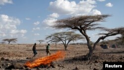 Arşîv: Herêma goala Turkana ya Biyabanî