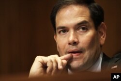 Marco Rubio, Senador republicano por Florida.