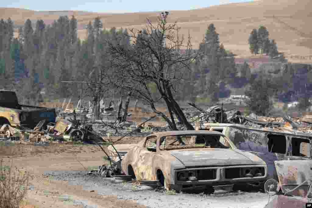 Washington eyaletindeki yangında kül olan araçlar, 8 Eylül 2020.