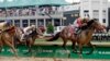 Kuda Orb Menangi Lomba Kentucky Derby