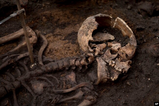 A skeleton lies in the ground on the archeological excavation site at the 16th and 17th century Bedlam burial ground, uncovered by work on the new Crossrail train line next to Liverpool Street station in London, March 6, 2015.