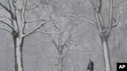 A man walks through Fairmont Park during a winter snow storm, March 10, 2017, in Philadelphia. 