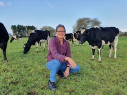Peneliti Lindsay Matthews berpose di sebelah sapi di sebuah peternakan di lokasi yang dirahasiakan di Selandia Baru. (Research Institute for Farm Animal Biology via AFP)