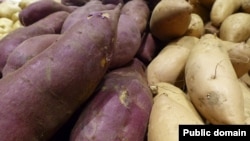 The yam -- both the vegetable and its name -- is of African origin.