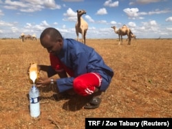 A client of Gedi Mohammed fills a water bottle with fresh camel milk in Hadado, Kenya, June 30, 2018.