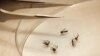 US Reports Record Outbreak of West Nile Virus