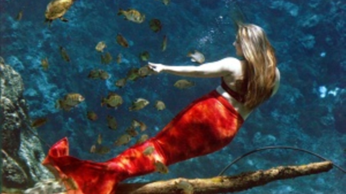 Real Mermaids? Not Really, But…