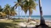 Shipwreck Off Haiti Coast Could be Columbus's Santa Maria