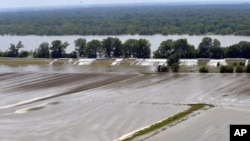 Crops and homes along the levee have started to flood, as the water starts topping over the broken levee in Lake Providence, La. on May 12, 2011.