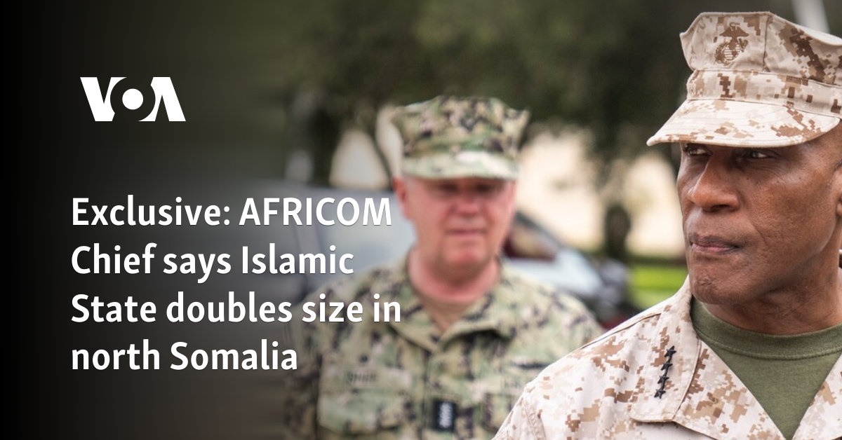 Exclusive: AFRICOM Chief says Islamic State doubles size in north Somalia