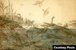 Old English watercolor painting of dinosaurs.