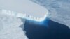 Lapisan Es Bawah Tanah Penahan Gletser Besar dalam Keadaan Genting