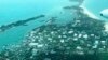VIDEO: Uragan Dorijan devastirao Bahame