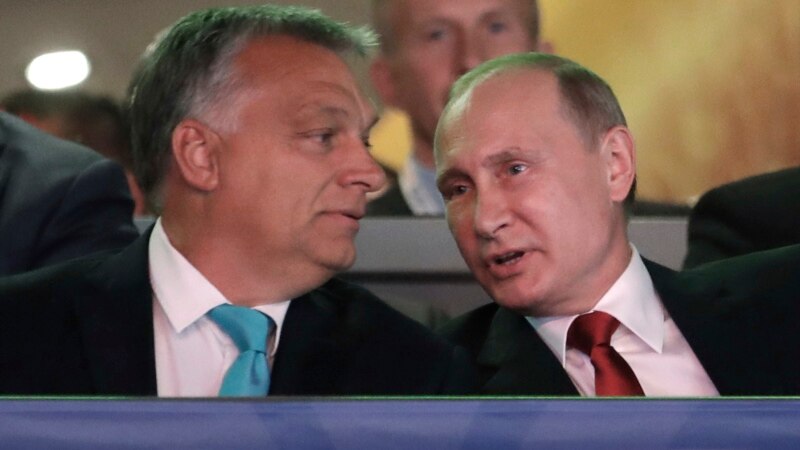 Putin Visits Hungary for Judo Competition, Energy Talks