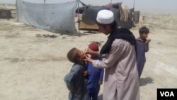 Імунізація дитини в афганській провінція Пактіка