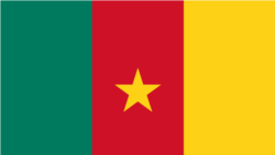 La diaspora camerounaise veut participer au développement