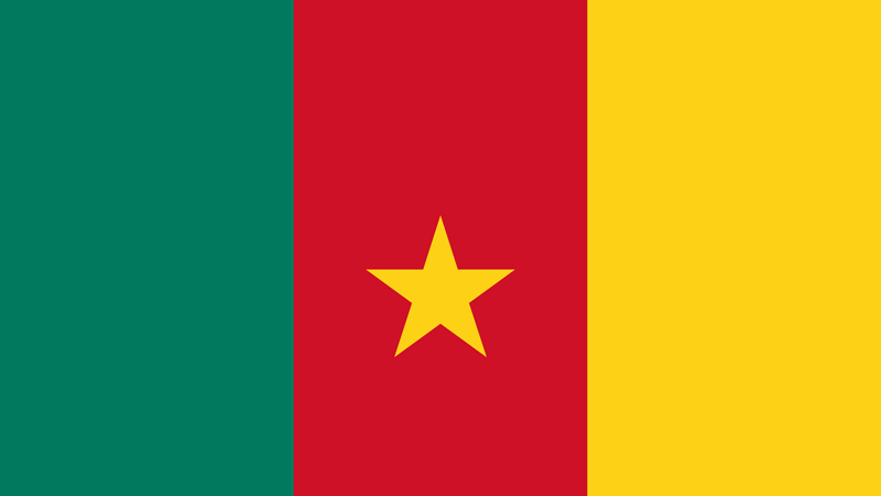 La diaspora camerounaise veut développer le potentiel de la région de l'extrême-nord