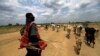 South Sudan Looks to Livestock to Break Oil Dependence