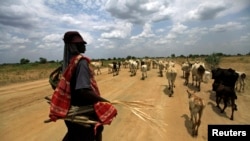 A shepherd from the Mundari tribe walks with cattle near Bor, Jonglei state, on March 31, 2012.