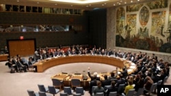 The United Nations Security Council voted on a resolution during a meeting at U.N. headquarters, March 2, 2016.