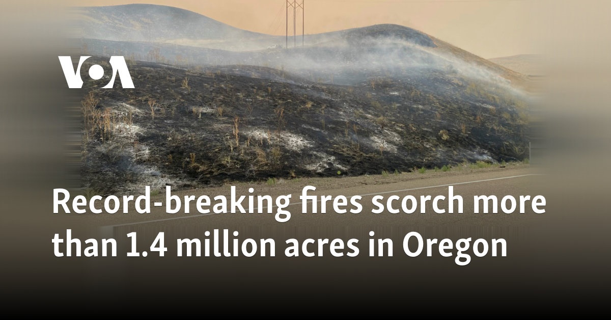 Record fires destroy over 600,000 hectares of land in Oregon