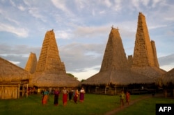 Sejumlah perempuan adat dan anak-anak membawa sesajen sehari sebelum tradisi tahunan "Pasola" di Desa Ratenggaro, Sumba, 21 Maret 2014. (Foto: AFP)