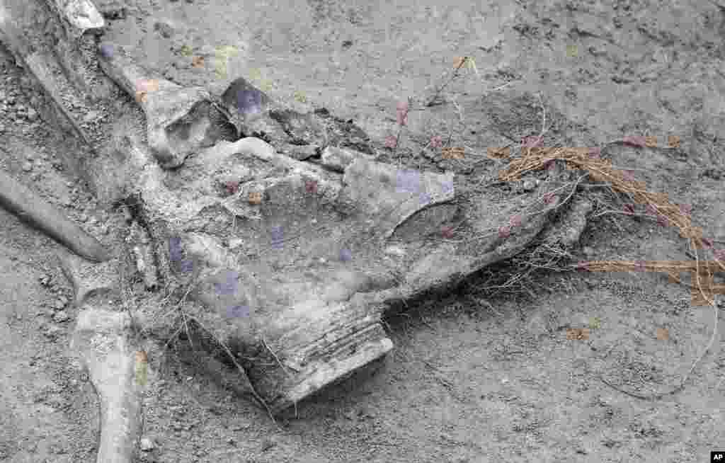 این بقایای یک سرباز آلمانی در جنگ جهانی دوم، در شرق برلین است که تازه کشف شده است.&nbsp;