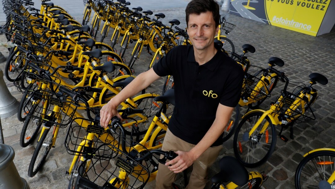perusahaan ofo korea