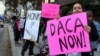 Pro-DACA Court Ruling Changes Little for Recipients