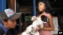 FILE - A veterinarian at the nonprofit Bali Animal Welfare Association gives a rabies shot to a puppy in Kebon Kaja village, Bangli Regency in Bali, Indonesia.