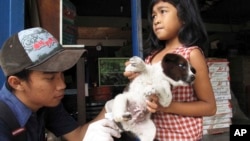 In this 2010 file photo, a veterinarian at the nonprofit Bali Animal Welfare Association gives a rabies shot to a puppy in Kebon Kaja village, Bangli Regency in Bali, Indonesia. (AP Photo/Margie Mason)