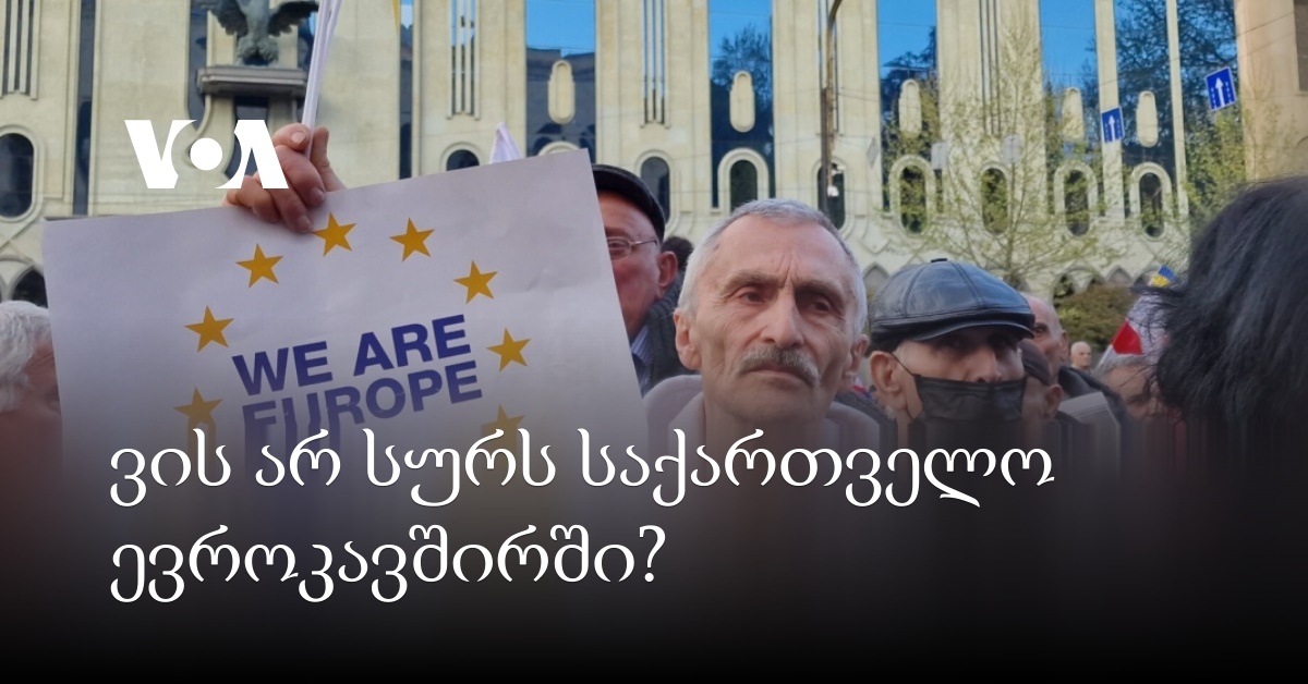 ვის არ სურს საქართველო ევროკავშირში?