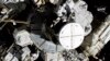 SpaceX entrega ratones y un robot a la estación espacial