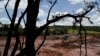 Firefighters search for bodies days after a dam collapse in Brumadinho, Brazil, Jan. 28, 2019. 