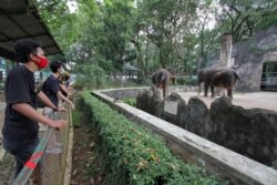 Para pengunjung mengenakan masker sambil mengamati gajah di hari pertama pembukaan kembali Kebun Binatang Ragunan di tengah pandemi virus corona (Covid-19) di Jakarta, 20 Juni 2020. (Foto: Reuters)