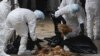 北京发现首例人感染H7N9禽流感病例