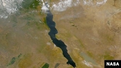 Lake Tanganyika Image from NASA’s SeaWIFs project