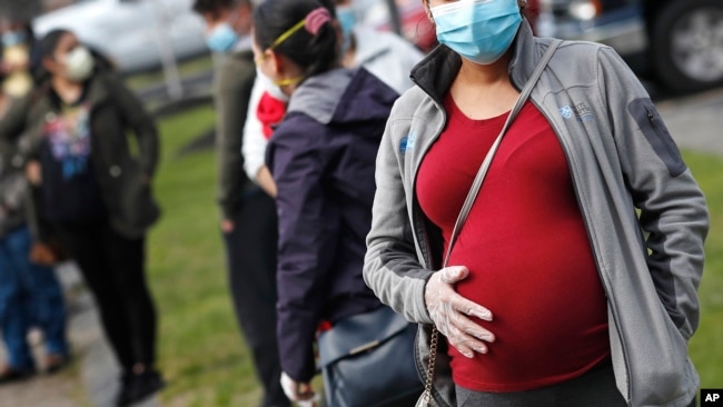 FILE: A pregnant woman wearing a face mask and gloves holds her belly as she waits in line for groceries at St. Mary's Church in Waltham, Massachussetts, May 7, 2020. The CDC urged all pregnant women on Aug. 11, 2021 to get the COVID-19 vaccine