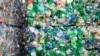 ပလပ်စတစ်စားတဲ့ ရောနှော ဘက်တီးရီးယား 