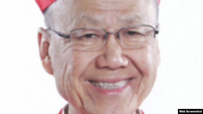 香港天主教教区退休主教汤汉被梵蒂冈任命为教宗的代理负责人 （天主教香港教区网站截图）