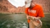 Scientists Help Insects to Help Colorado River Fish