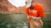 Scientists Help Insects to Help Colorado River Fish