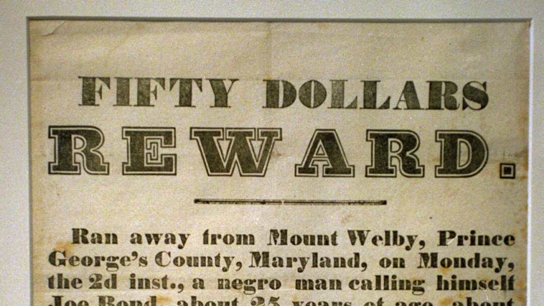 handbill examples