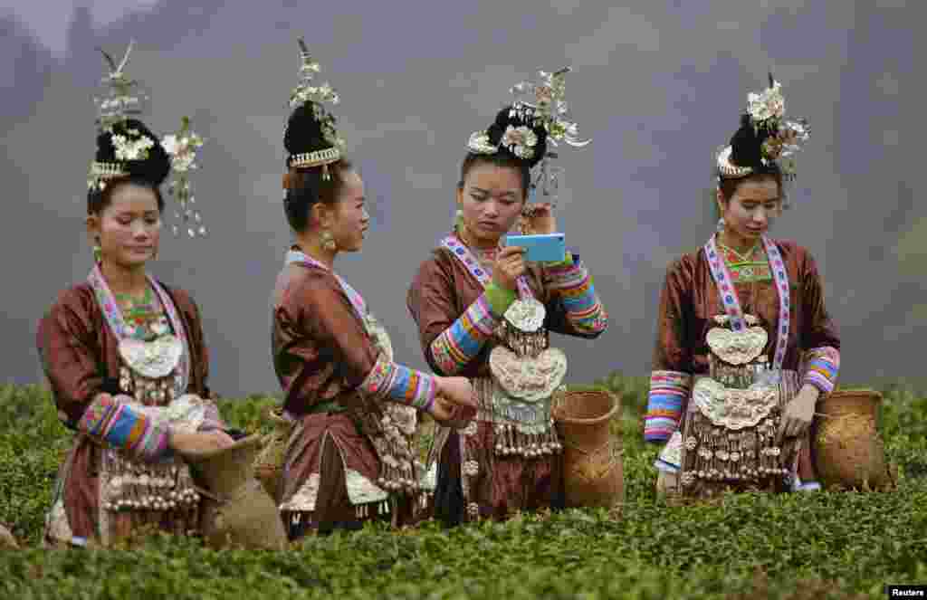 Ethnic Dong women wearing traditional costumes pick tea leaves during a ceremony marking the start of tea picking season in spring, at a tea plantation in Liping county, Guizhou province, China.