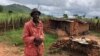 One of the farmers, 71-year old King Maposa, is seen at Manzou farm in Mazowe district, Zimbabwe, March 2, 2018, near what he now calls his bedroom, one that he has to crawl into. He says it has been three years of stress. (S. Mhofu/VOA)