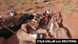 Ahli paleontologi berpose di samping penggalian tulang dinosaurus dan fosil yang mungkin milik dinosaurus terbesar yang pernah ditemukan, di Neuquen, Argentina, 12 November 2016, sebagai ilustrasi. (Foto: CTyS-UNLaM via REUTERS)