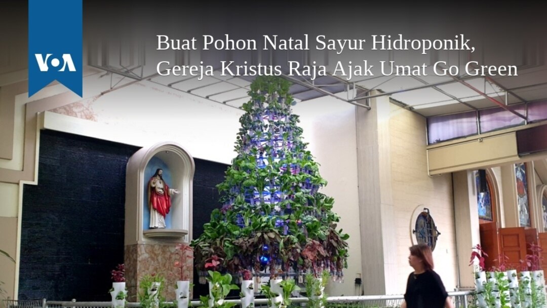 Buat Pohon Natal Sayur Hidroponik Gereja Kristus Raja Ajak Umat Go Green