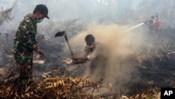 Warga desa dan anggota TNI berusaha memadamkan kebakaran hutan dan lahan di Rimbo Panjang, provinsi Riau, Minggu (6/9). Asap tebal akibat pembakaran lahan dan hutan di Pulau Sumatera dan Kalimantan semakin parah minggu ini. 